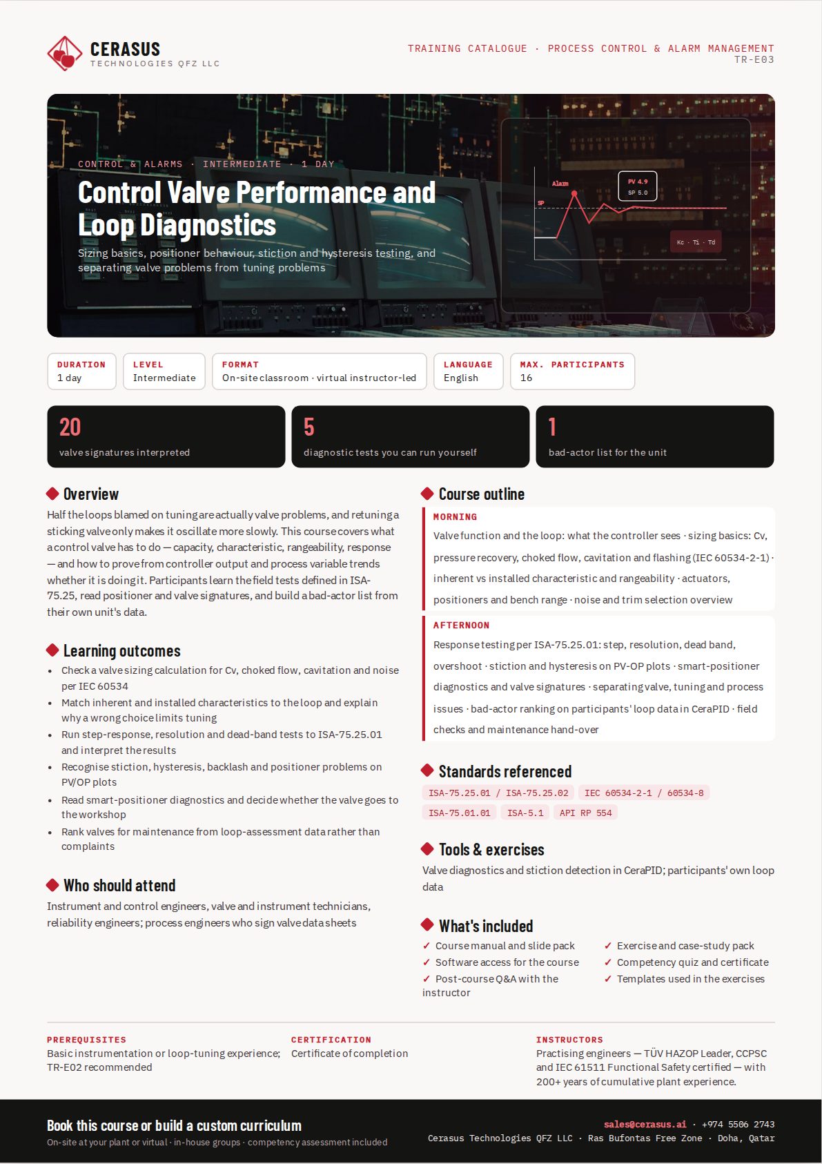 Control Valve Performance and Loop Diagnostics — one-page course flyer